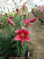 [5568 PO71 Redford No01.JPG]